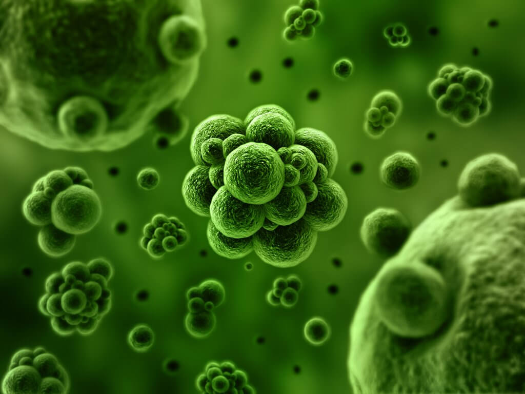 antibioticos